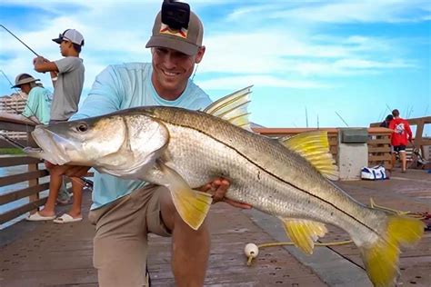 Snook Fishing in Florida: Tips, Spots, and Techniques for Success.